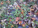 P01-12-12_11.41
