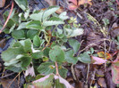 P01-12-12_11.41[1]