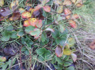 P01-12-12_11.42[1]