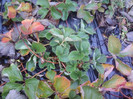 P01-12-12_12.55
