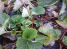 P01-12-12_12.56