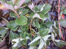 P01-12-12_12.56[2]