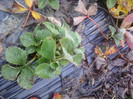 P01-12-12_12.56[3]