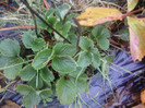 P01-12-12_12.57