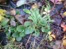 P01-12-12_12.58