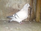 DSC01643