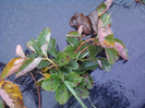 P01-12-12_12.27[1]