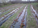 P01-12-12_12.27[2]