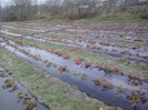 P01-12-12_12.27[3]