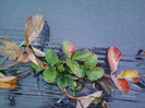 P01-12-12_12.27[4]