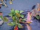 P01-12-12_12.27[5]