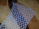 01122012 esarfa