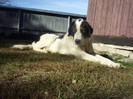 Picture 026