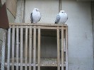 PICT0018