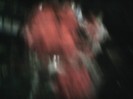 Fotografii-0598