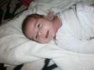 cami 215