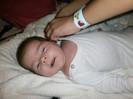 cami 220
