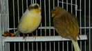 P1050132