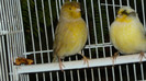 P1050133