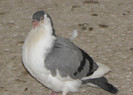 PC020027