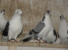 PC020048