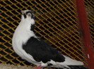 PC020063