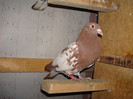 DSC09272