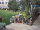 DSC01383
