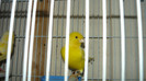 P1050134