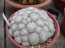 DSCF3392