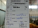 IMAG0234