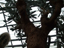 DSCF3494