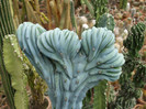DSCF3522