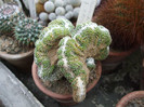 DSCF3527