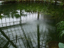 DSCF3543