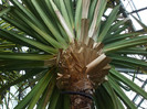 DSCF3556