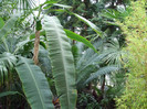 DSCF3560