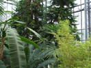 DSCF3561