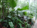 DSCF3567