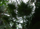 DSCF3576