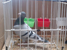 2012-10-28-511