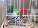 2012-10-28-512