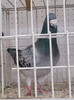 2012-10-28-541