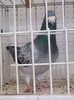 2012-10-28-542