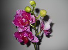 DSCN0203
