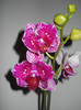 DSCN0204