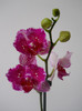 DSCN0205