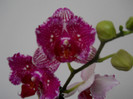 DSCN0210