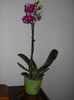 DSCN0212
