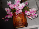 DSCN0146
